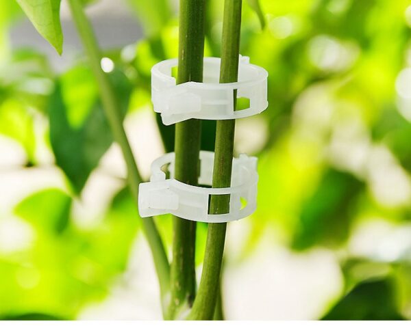 Durable 30mm Plastic Plant Support Clips - Image 6