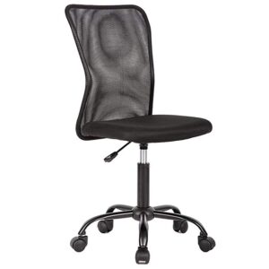 Computer Chair Back Support