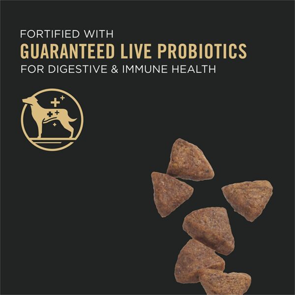 Purina Pro Plan Adult Sensitive Skin & Stomach Salmon & Rice Formula Dry Dog Food - Image 2